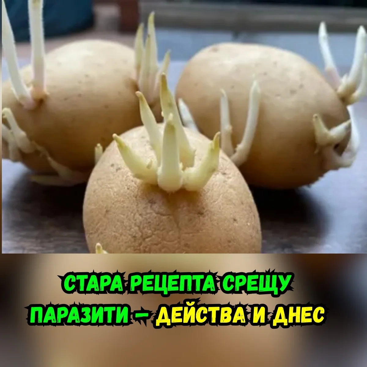 Proteínas magras